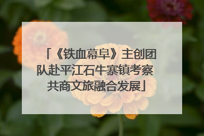 《铁血幕阜》主创团队赴平江石牛寨镇考察 共商文旅融合发展