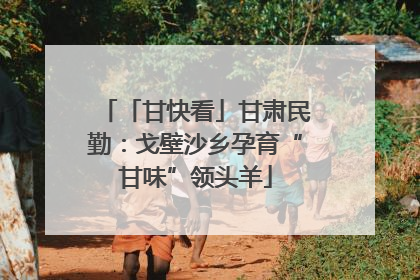 「甘快看」甘肃民勤：戈壁沙乡孕育“甘味”领头羊