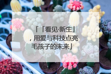 「看见·新生」，用爱与科技点亮毛孩子的未来