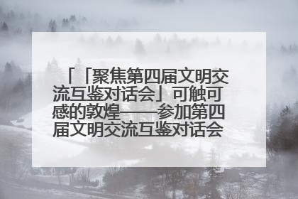 「聚焦第四届文明交流互鉴对话会」可触可感的敦煌——参加第四届文明交流互鉴对话会的外宾参观上元市集