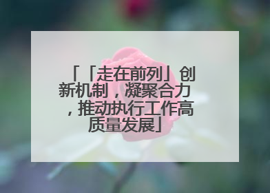 「走在前列」创新机制，凝聚合力，推动执行工作高质量发展