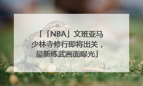 「NBA」文班亚马少林寺修行即将出关，最新练武画面曝光