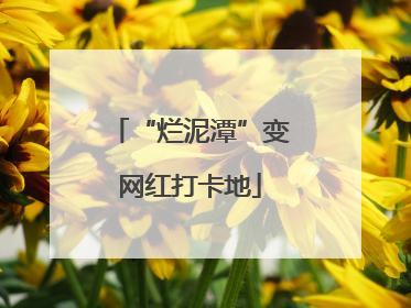“烂泥潭”变网红打卡地