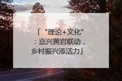 “理论+文化”：嘉兴黄岩联动，乡村振兴添活力