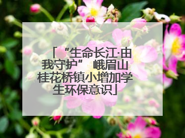 “生命长江·由我守护” 峨眉山桂花桥镇小增加学生环保意识