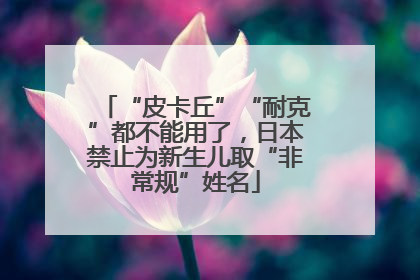 “皮卡丘”“耐克”都不能用了，日本禁止为新生儿取“非常规”姓名
