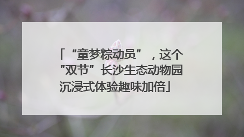 “童梦粽动员”，这个“双节”长沙生态动物园沉浸式体验趣味加倍