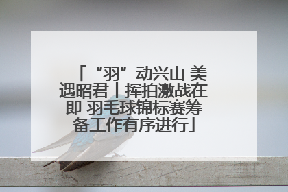 “羽”动兴山 美遇昭君丨挥拍激战在即 羽毛球锦标赛筹备工作有序进行