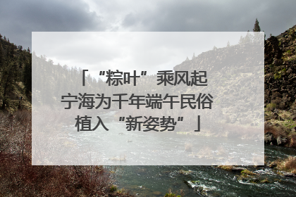 “粽叶”乘风起 宁海为千年端午民俗植入“新姿势”