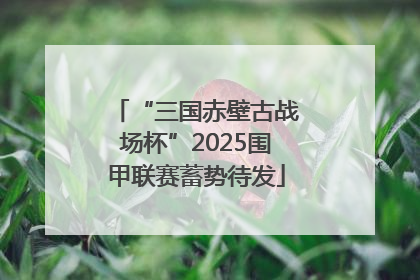 “三国赤壁古战场杯”2025围甲联赛蓄势待发