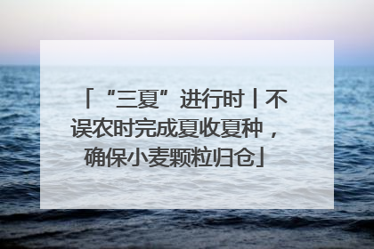 “三夏”进行时丨不误农时完成夏收夏种，确保小麦颗粒归仓