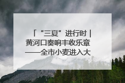 “三夏”进行时｜黄河口奏响丰收乐章——全市小麦进入大面积收获高峰期