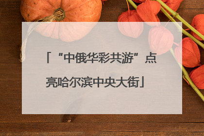 “中俄华彩共游”点亮哈尔滨中央大街