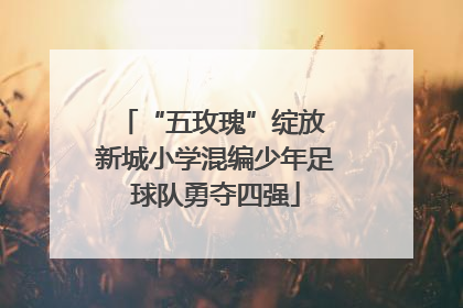 “五玫瑰”绽放 新城小学混编少年足球队勇夺四强