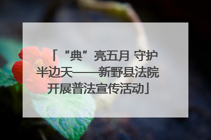 “典”亮五月 守护半边天——新野县法院开展普法宣传活动