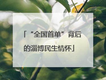 “全国首单”背后的淄博民生情怀