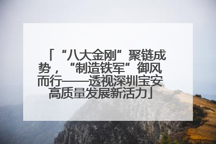“八大金刚”聚链成势，“制造铁军”御风而行——透视深圳宝安高质量发展新活力
