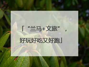 “兰马+文旅”，好玩好吃又好跑