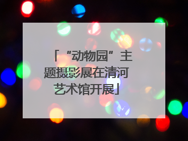 “动物园”主题摄影展在清河艺术馆开展