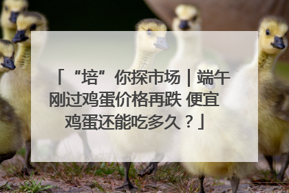 “培”你探市场｜端午刚过鸡蛋价格再跌 便宜鸡蛋还能吃多久？