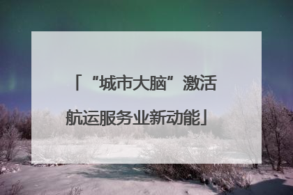 “城市大脑”激活航运服务业新动能