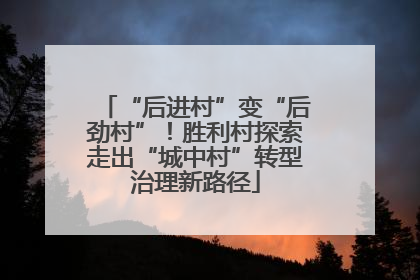 “后进村”变“后劲村”！胜利村探索走出“城中村”转型治理新路径
