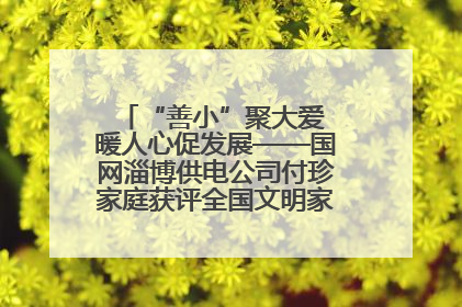 “善小”聚大爱 暖人心促发展——国网淄博供电公司付珍家庭获评全国文明家庭背后的文明密码