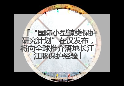 “国际小型鲸类保护研究计划”在汉发布，将向全球推介落地长江江豚保护经验