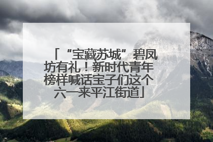 “宝藏苏城”碧凤坊有礼！新时代青年榜样喊话宝子们这个六一来平江街道