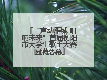 “声动雁城 唱响未来”首届衡阳市大学生歌手大赛圆满落幕