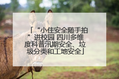 “小住安全随手拍”进校园 四川多维度科普汛期安全、垃圾分类和工地安全