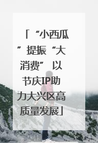 “小西瓜”提振“大消费” 以节庆IP助力大兴区高质量发展