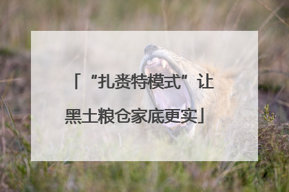 “扎赉特模式”让黑土粮仓家底更实