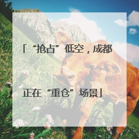 “抢占”低空，成都正在“重仓”场景