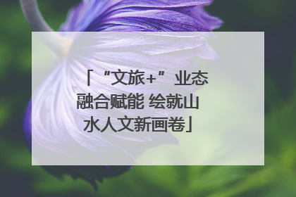 “文旅+”业态融合赋能 绘就山水人文新画卷