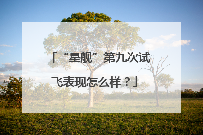 “星舰”第九次试飞表现怎么样？