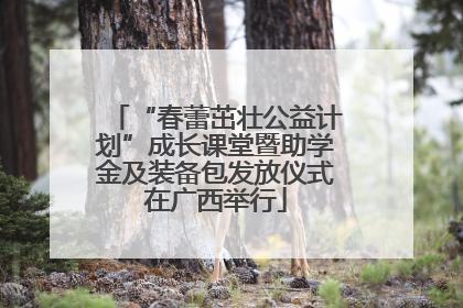 “春蕾茁壮公益计划”成长课堂暨助学金及装备包发放仪式在广西举行