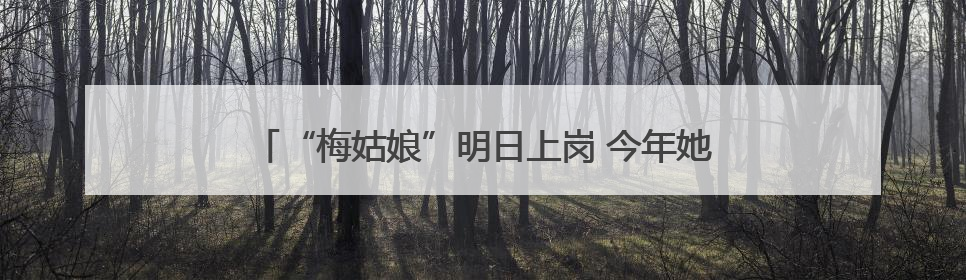 “梅姑娘”明日上岗 今年她可能“出镜”少但“戏份”重
