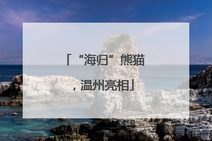 “海归”熊猫，温州亮相