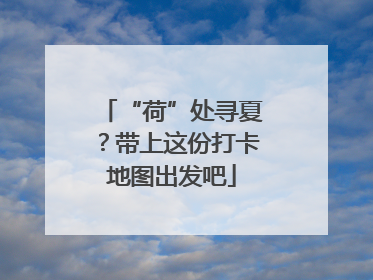 “荷”处寻夏？带上这份打卡地图出发吧