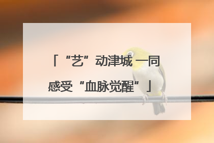 “艺”动津城 一同感受“血脉觉醒”