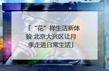 “花”样生活新体验 北京大兴区让月季走进日常生活