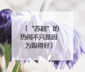 “苏超”的热闹不只是因为踢得好