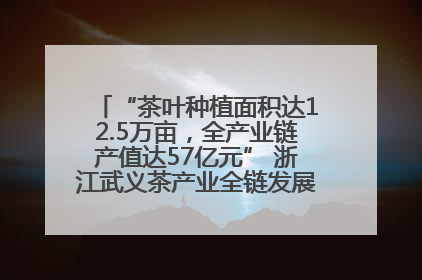 “茶叶种植面积达12.5万亩，全产业链产值达57亿元” 浙江武义茶产业全链发展“加速度”