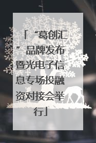 “葛创汇”品牌发布暨光电子信息专场投融资对接会举行