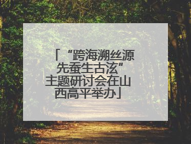 “跨海溯丝源 先蚕生古泫”主题研讨会在山西高平举办