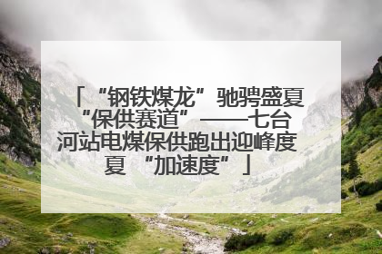 “钢铁煤龙”驰骋盛夏 “保供赛道”——七台河站电煤保供跑出迎峰度夏 “加速度”