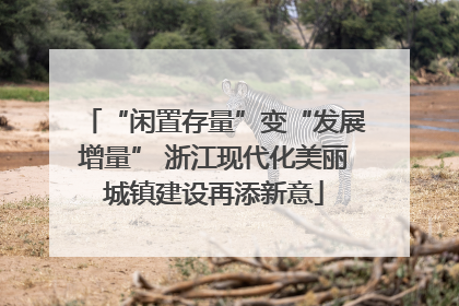 “闲置存量”变“发展增量” 浙江现代化美丽城镇建设再添新意