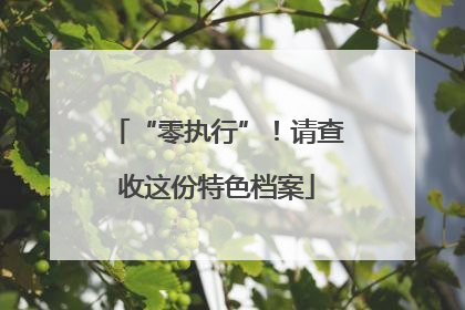 “零执行”！请查收这份特色档案