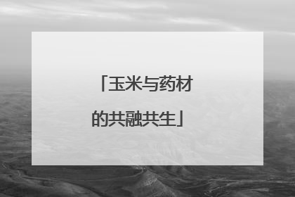 玉米与药材的共融共生